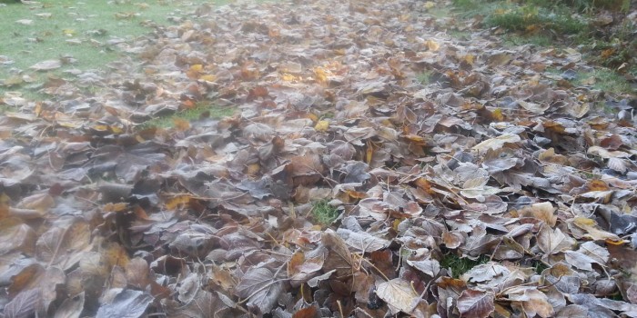 That Autumn feeling