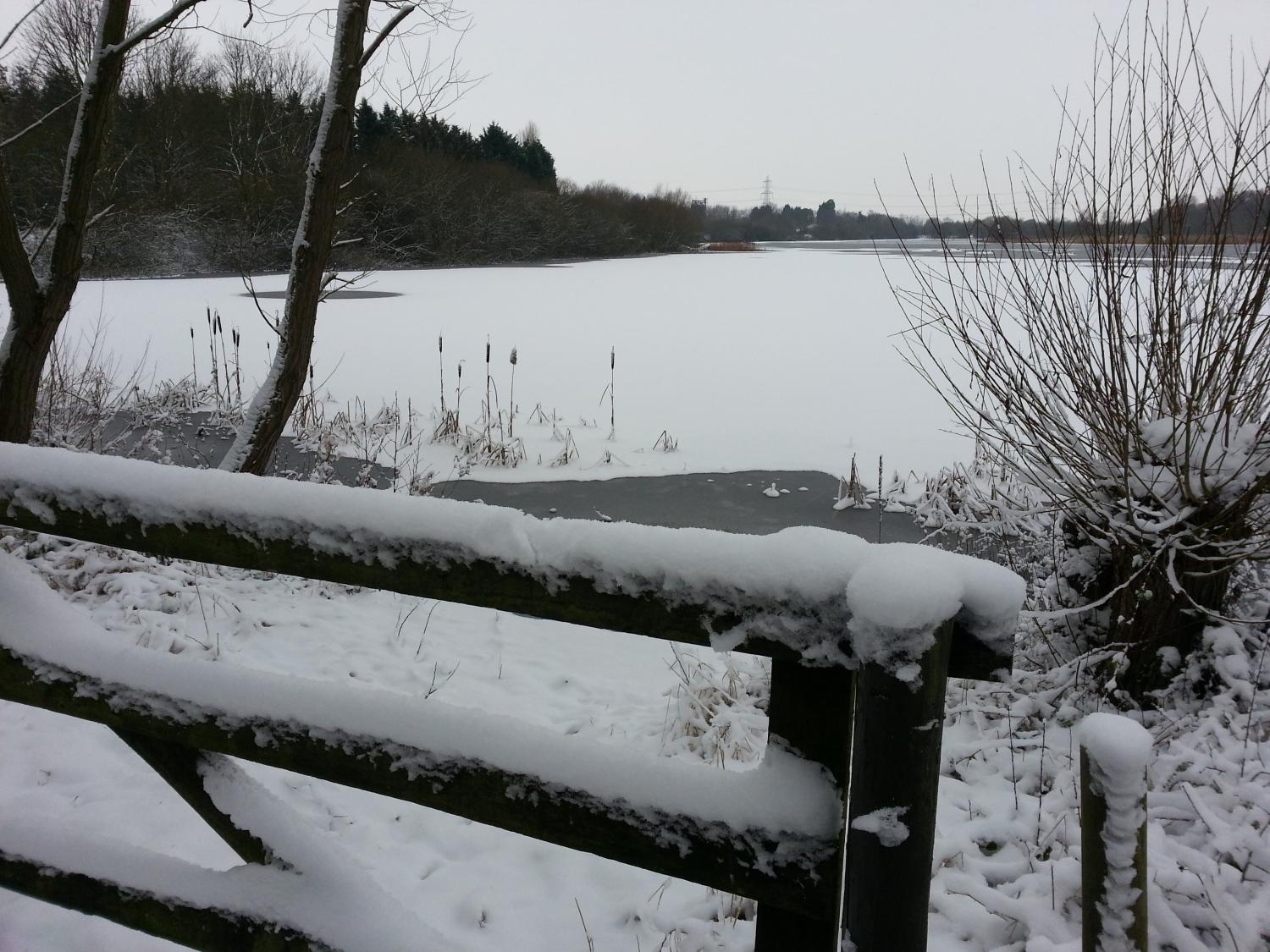 snow scene at Whisby Nature Reserve