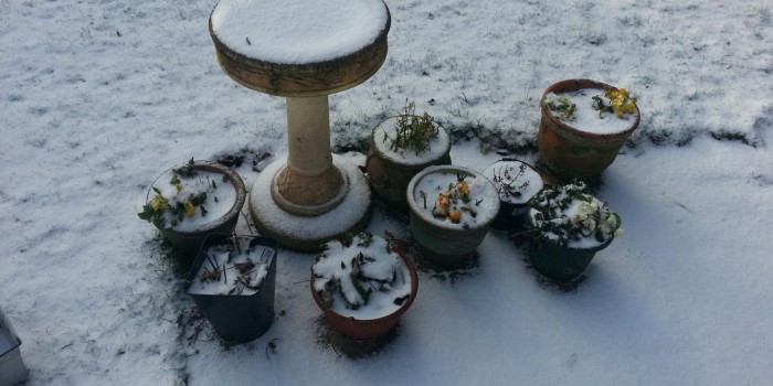 floral arrangement in the snow