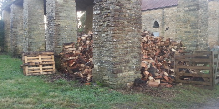 Logs at Fillingham