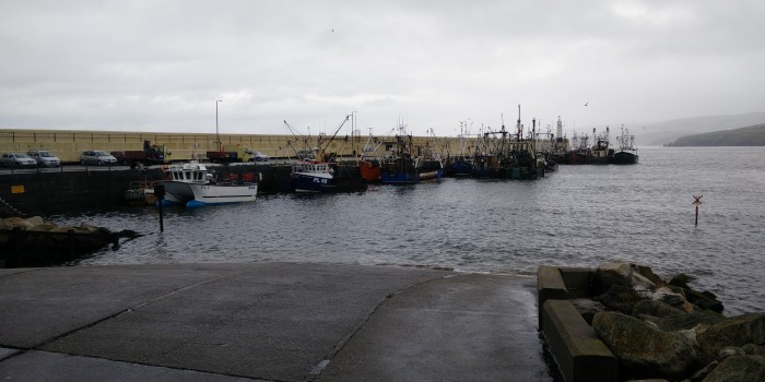 Boats in harbour