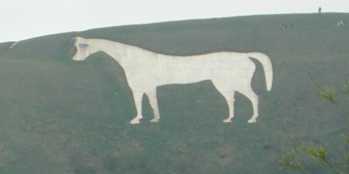 horseburgers
