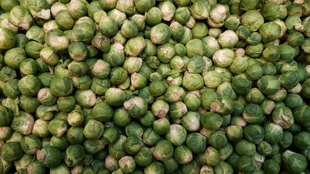 sprouts