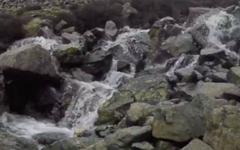 stream on mountain