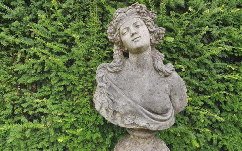 bust