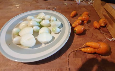 carrots and onions
