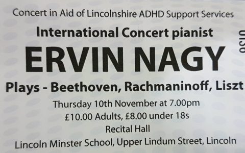 Ervin Nagy Concert
